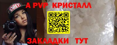 бошки Тара