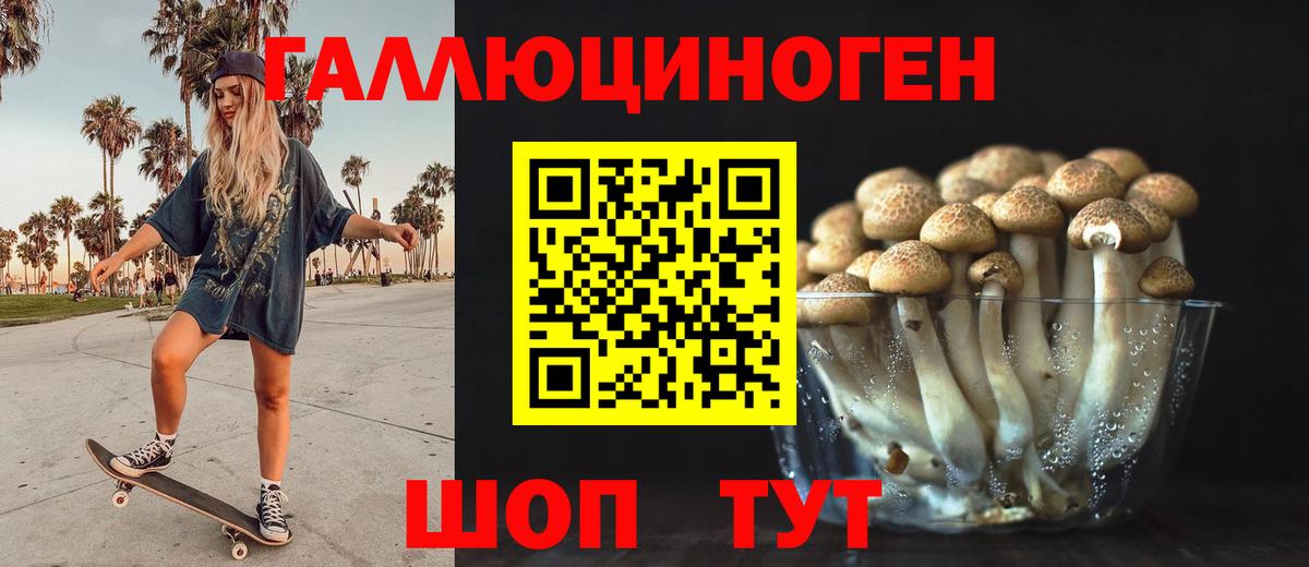 Галлюциногенные грибы Cubensis  Вход с VPN  Сафоново 